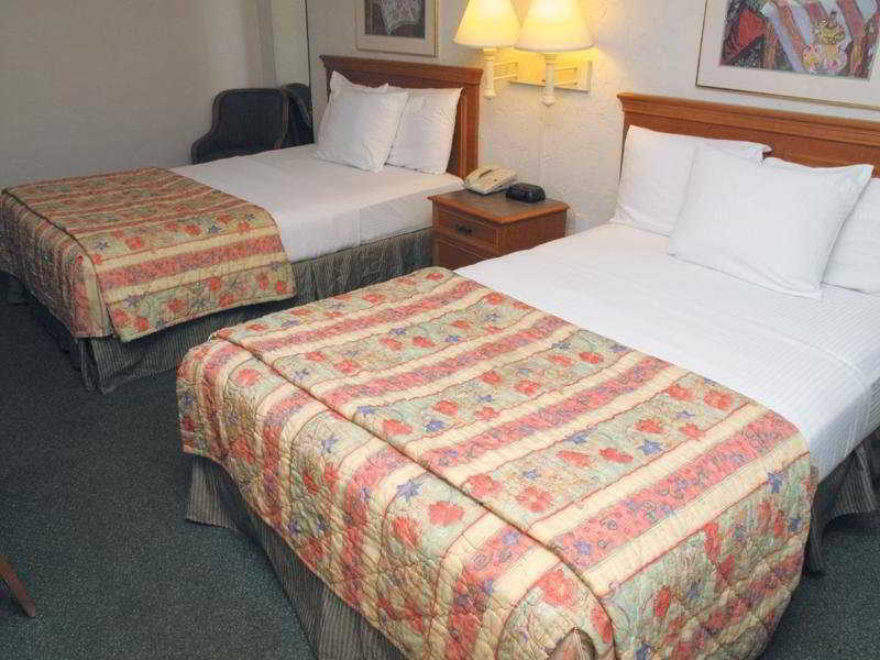 Red Roof Inn Tampa Bay - Saint Petersburg Værelse billede