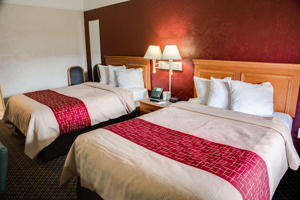 Red Roof Inn Tampa Bay - Saint Petersburg Eksteriør billede