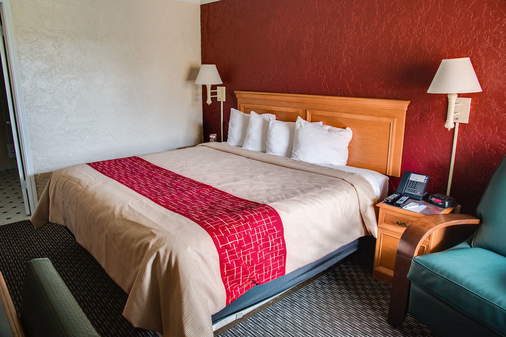 Red Roof Inn Tampa Bay - Saint Petersburg Eksteriør billede